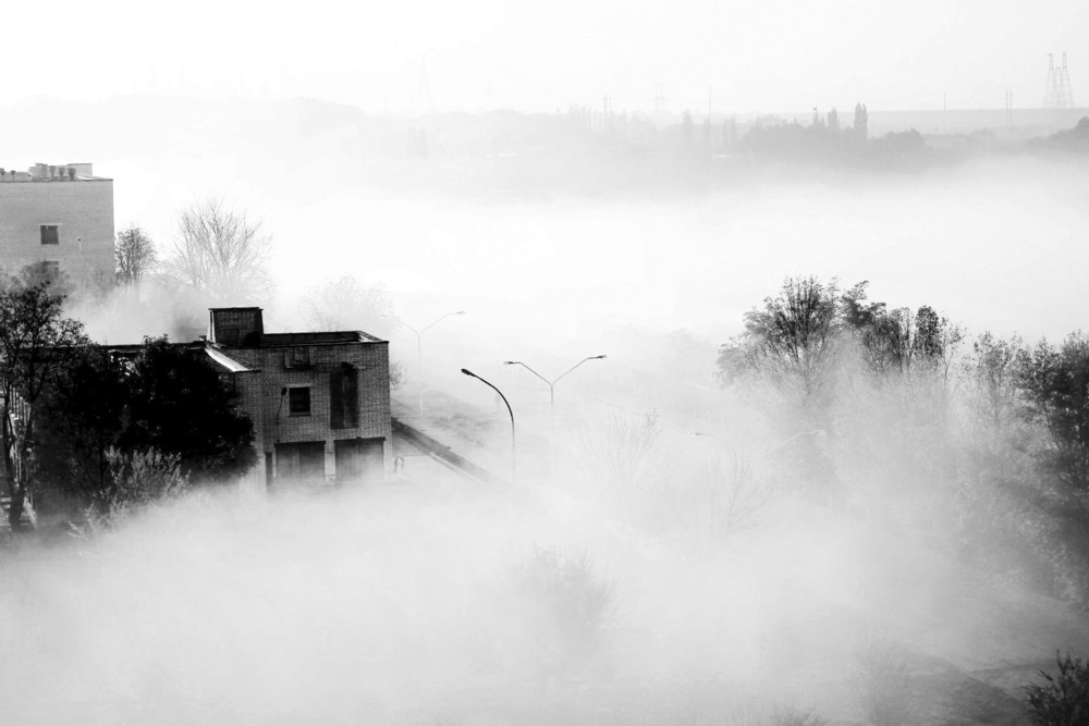 Фотографія Раннее утро / Лариса / photographers.ua