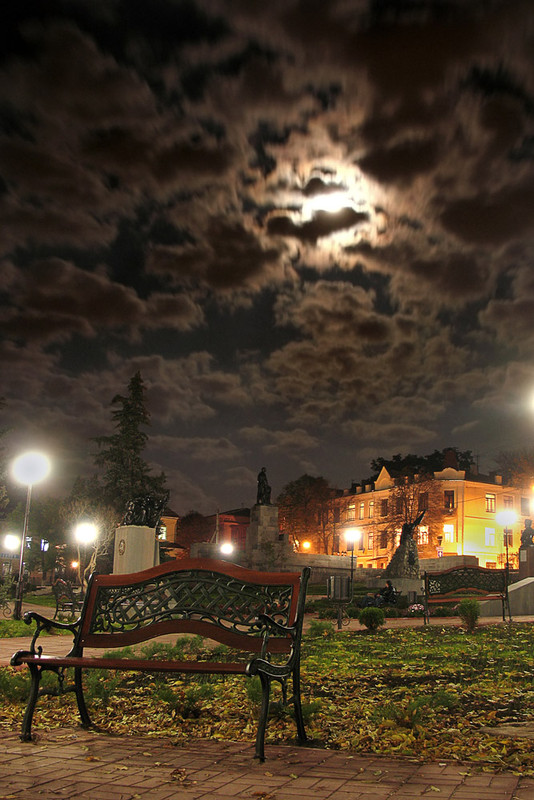 Фотографія Ночь в парке / Роман Иванов / photographers.ua