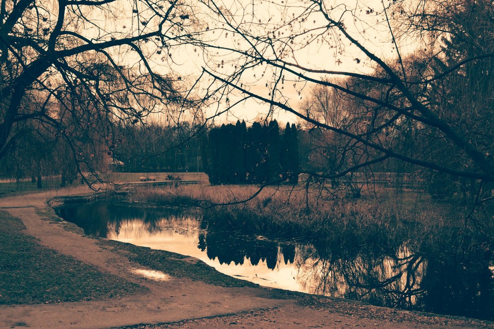 Фотографія Скоро ночь / Олег Омелянчук / photographers.ua