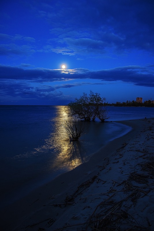Фотографія Лунная соната... / Александр Решетник / photographers.ua