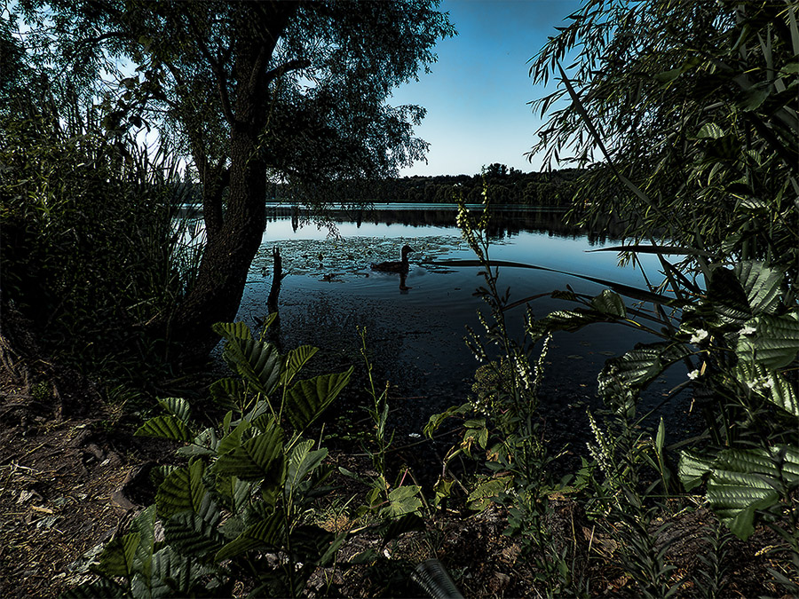 Фотографія Ночное озеро. / Валерий Изотов / photographers.ua