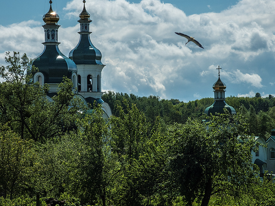 Фотографія Свято-Покровский храм г.Василькова / Валерий Изотов / photographers.ua