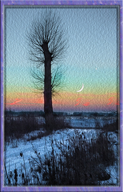 Фотографія Месячный зимний вечер. / Валерий Изотов / photographers.ua