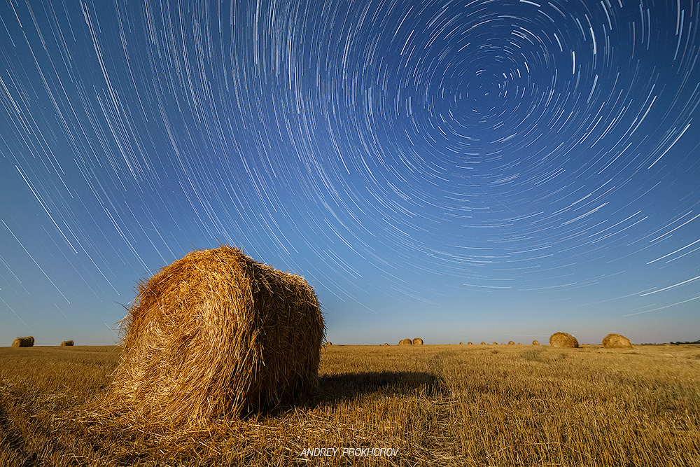 Фотографія Harvesting time / Andrey Prokhorov / photographers.ua
