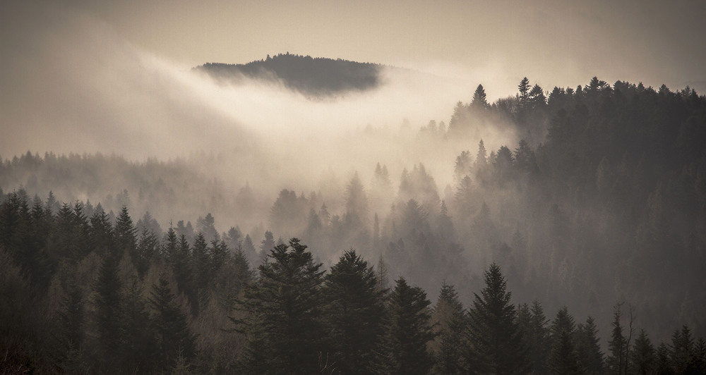 Фотографія ...туман, туманище... / Ігор Гвоздецький / photographers.ua