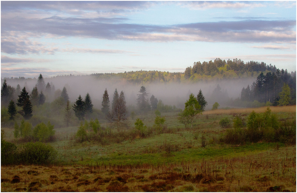 Фотографія ...туманний ранок в Бескидах... / Ігор Гвоздецький / photographers.ua