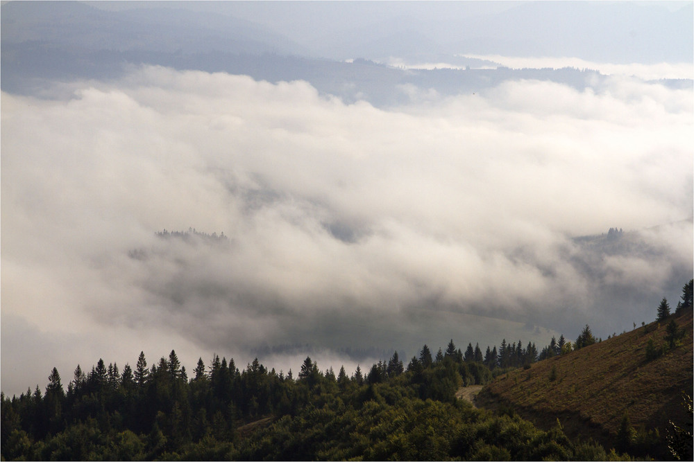 Фотографія ...над Пилипцем...з гори Гимба... / Ігор Гвоздецький / photographers.ua