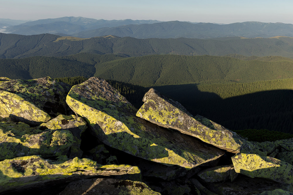 Фотографія в заповіднику на схилах гори Довбушанка / Ігор Гвоздецький / photographers.ua