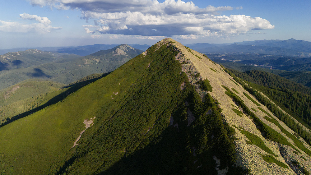 Фотографія Довбушанка 1754 м (Добушанка, Добошенка) - королева Центральних Ґорґан. / Ігор Гвоздецький / photographers.ua