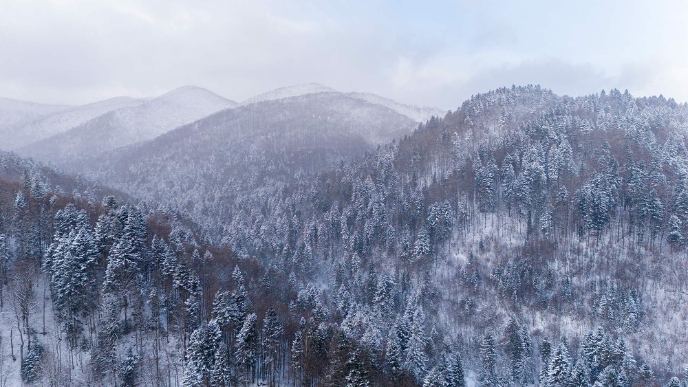 Фотографія в урочищі Золотий Потік / Ігор Гвоздецький / photographers.ua