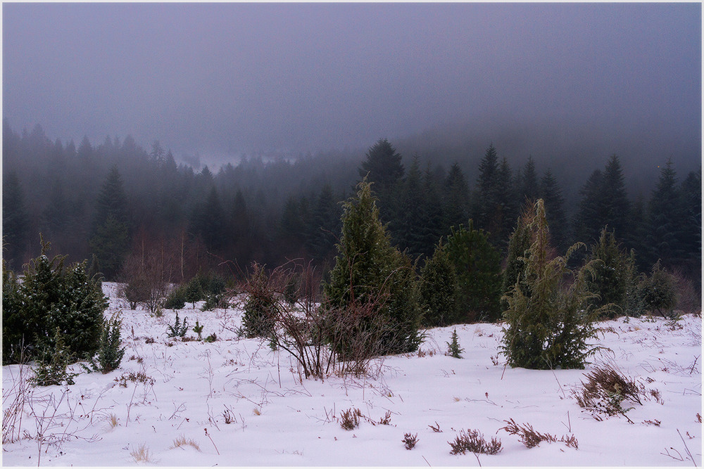 Фотографія ...негода, снігово-дощовий шторм... / Ігор Гвоздецький / photographers.ua