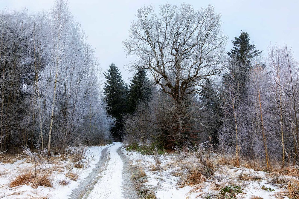 Фотографія Ну із Новим Роком! такий світ, така зима... / Ігор Гвоздецький / photographers.ua