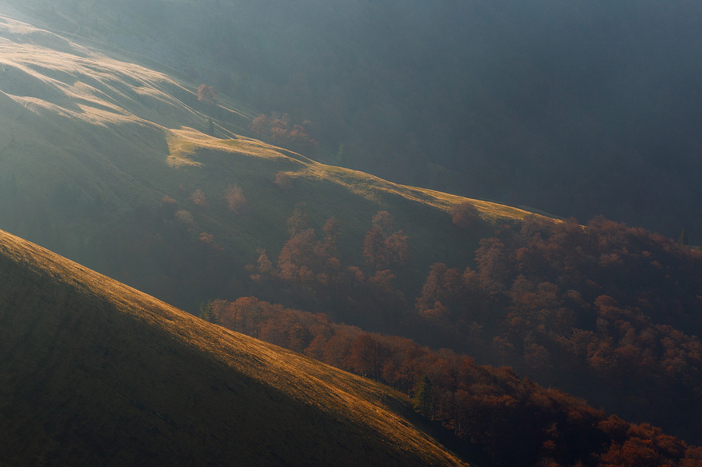Фотографія на схилах гори Неґровець, хребет Пішконя, національний природний парк Синевир / Ігор Гвоздецький / photographers.ua