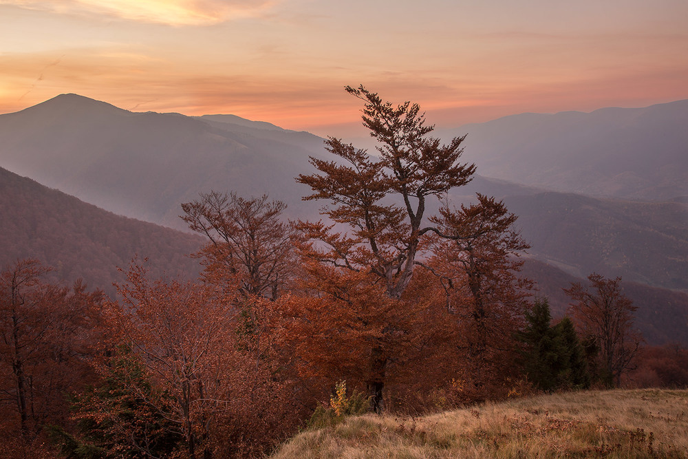 Фотографія ...золота осінь із видом на гору Стримба... / Ігор Гвоздецький / photographers.ua