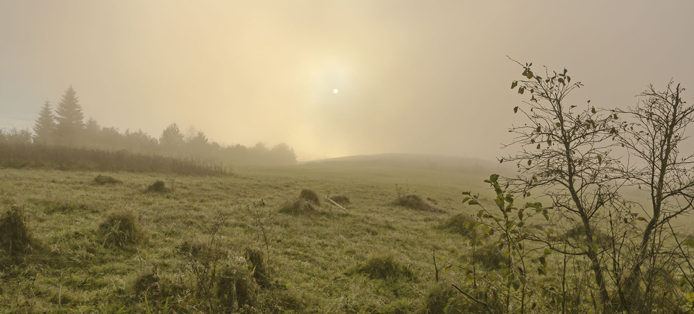 Фотографія ...ранково-туманний мінімалізм... / Ігор Гвоздецький / photographers.ua