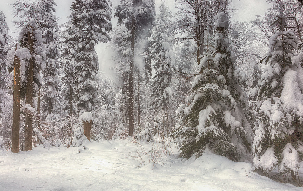 Фотографія ...після снігопадів... / Ігор Гвоздецький / photographers.ua