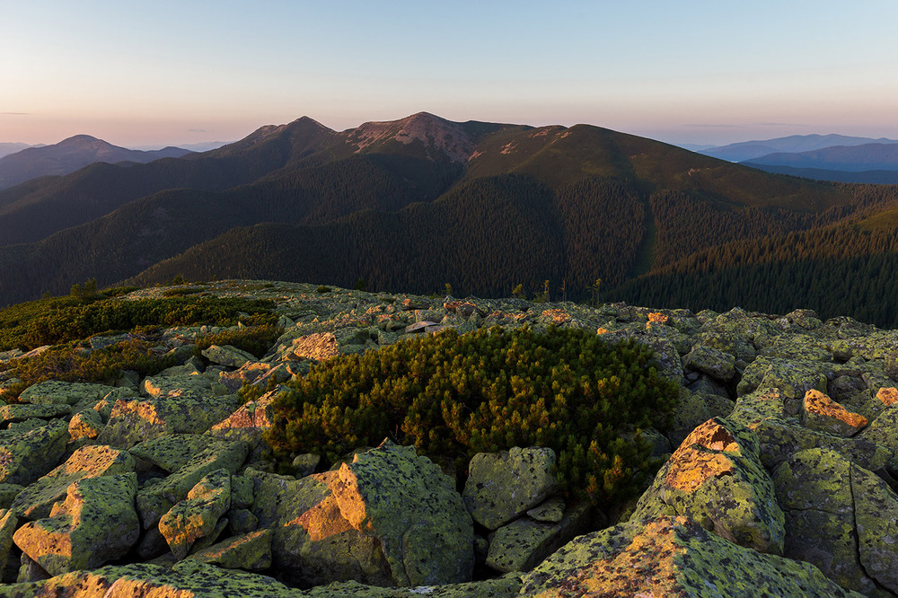Фотографія гора Козій Ґорґан, вид на масив г. Довбушанка, заповідник Ґорґани / Ігор Гвоздецький / photographers.ua