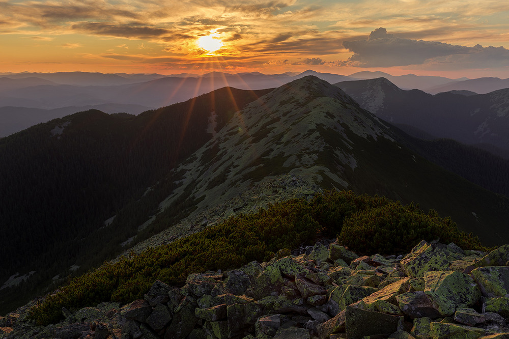 Фотографія заповідні Ґорґани / Ігор Гвоздецький / photographers.ua