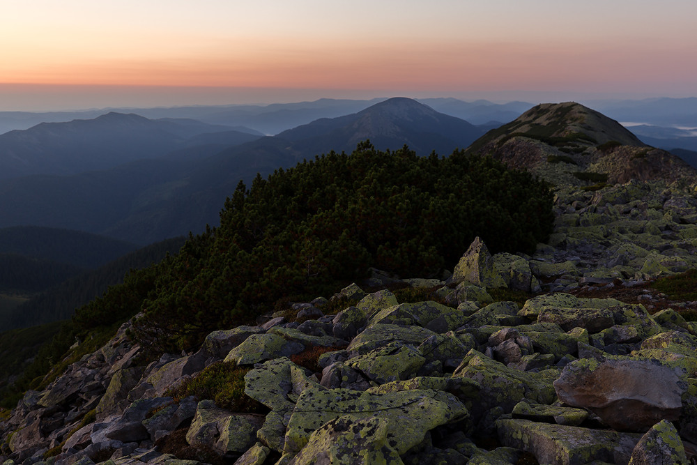 Фотографія ранкові сутінки на хребті гори Довбушанка / Ігор Гвоздецький / photographers.ua