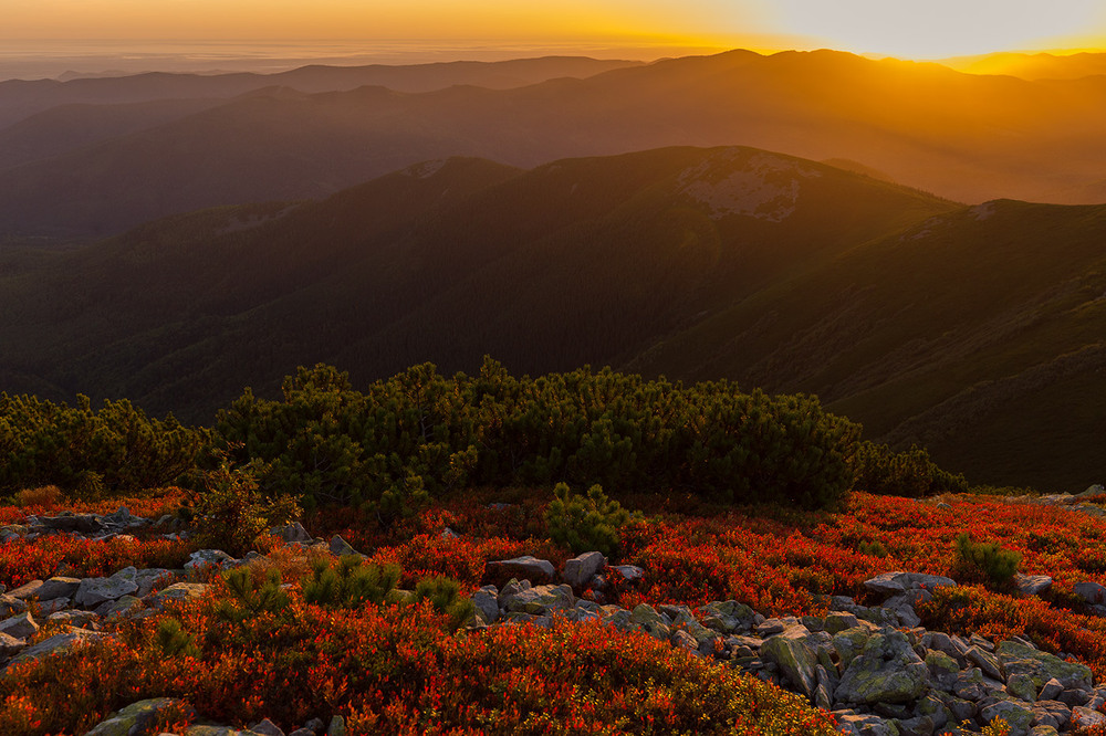 Фотографія світла всім у цей темний важкий ранок / Ігор Гвоздецький / photographers.ua