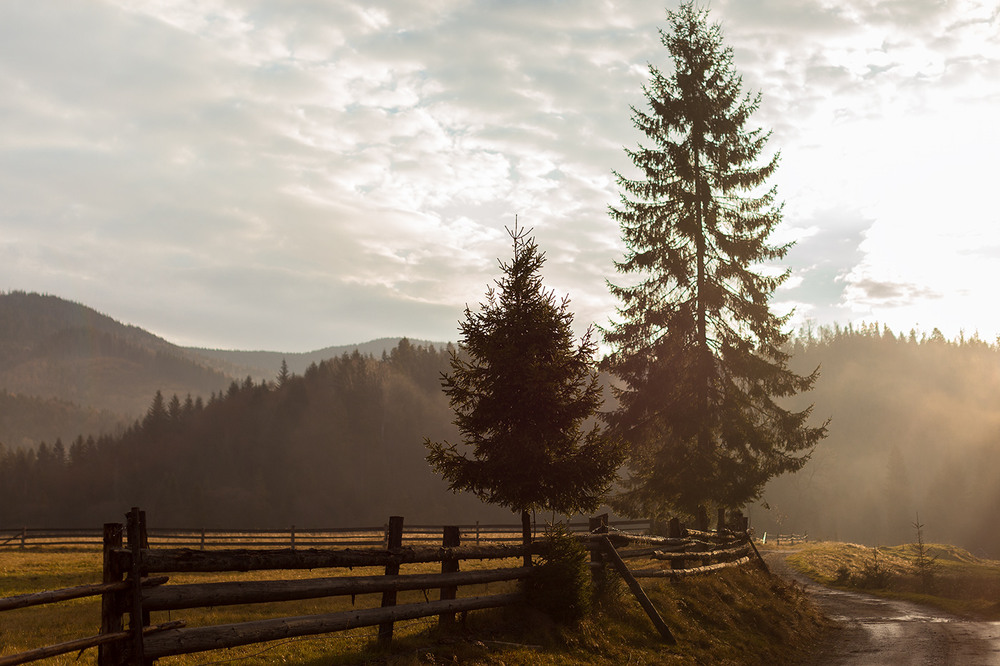 Фотографія ...ті що завжди поруч... / Ігор Гвоздецький / photographers.ua