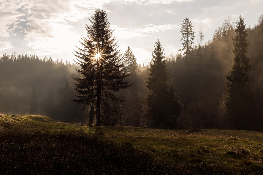 Фотографія Українські Бескиди / Ігор Гвоздецький / photographers.ua