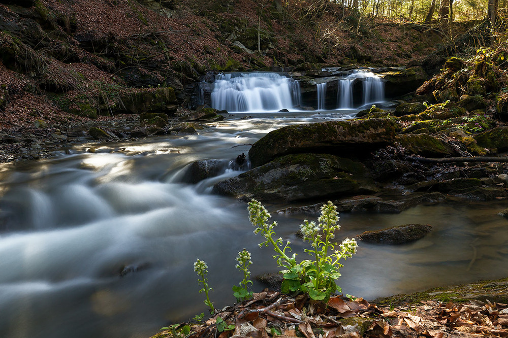 Фотографія Крушельницький водоспад, Бескиди, Україна / Ігор Гвоздецький / photographers.ua