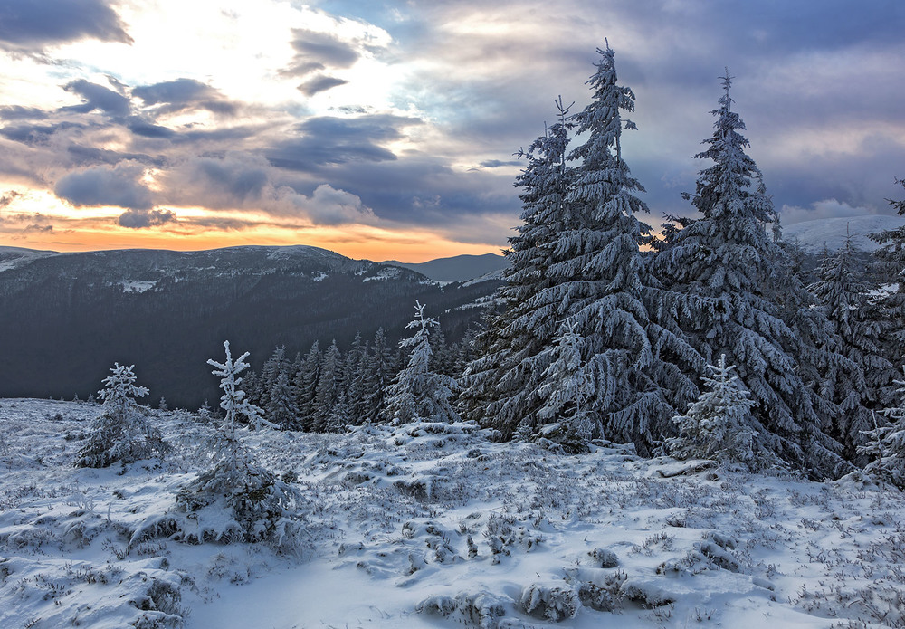 Фотографія ...зима вже скоро... / Ігор Гвоздецький / photographers.ua