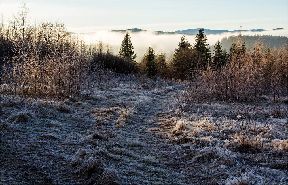 Фотографія ...дорога в зиму... / Ігор Гвоздецький / photographers.ua