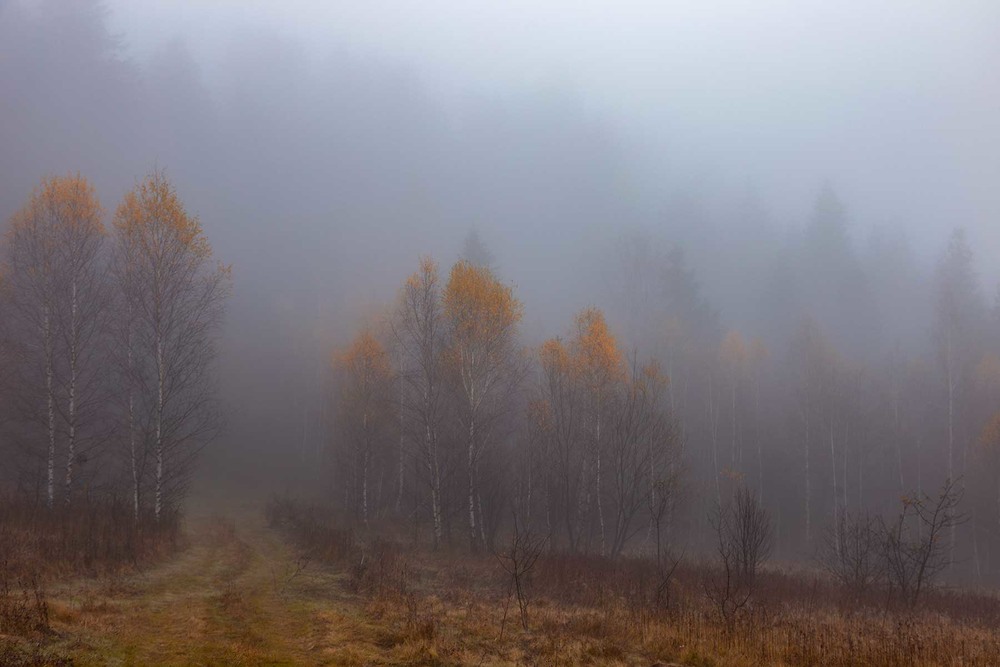 Фотографія така осінь... / Ігор Гвоздецький / photographers.ua