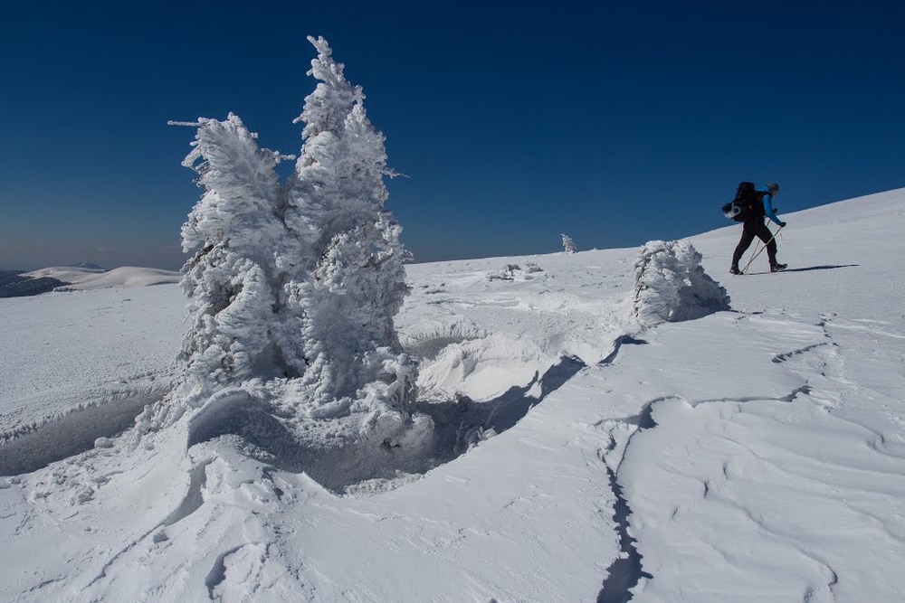 Фотографія По білому снігу / Erik Johansson / photographers.ua