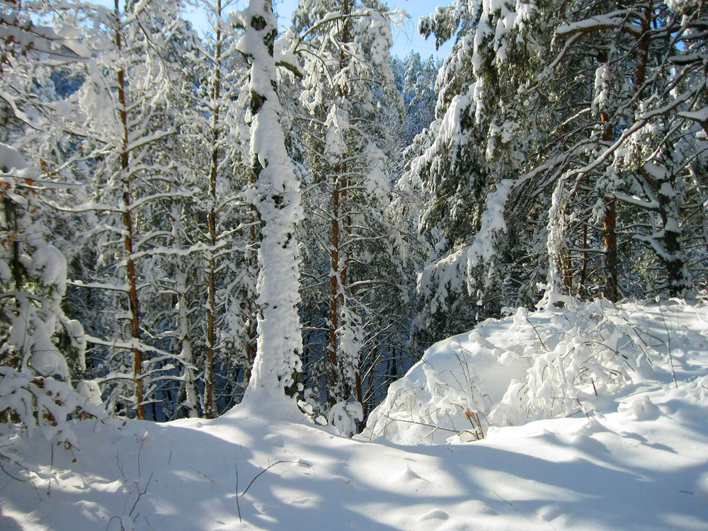 Фотографія Прощание с зимой. / Alexander Bogomazov / photographers.ua