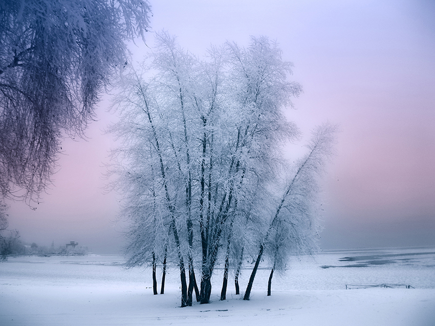Фотографія Зимний пейзаж. Вышгород. / Alexander Bogomazov / photographers.ua