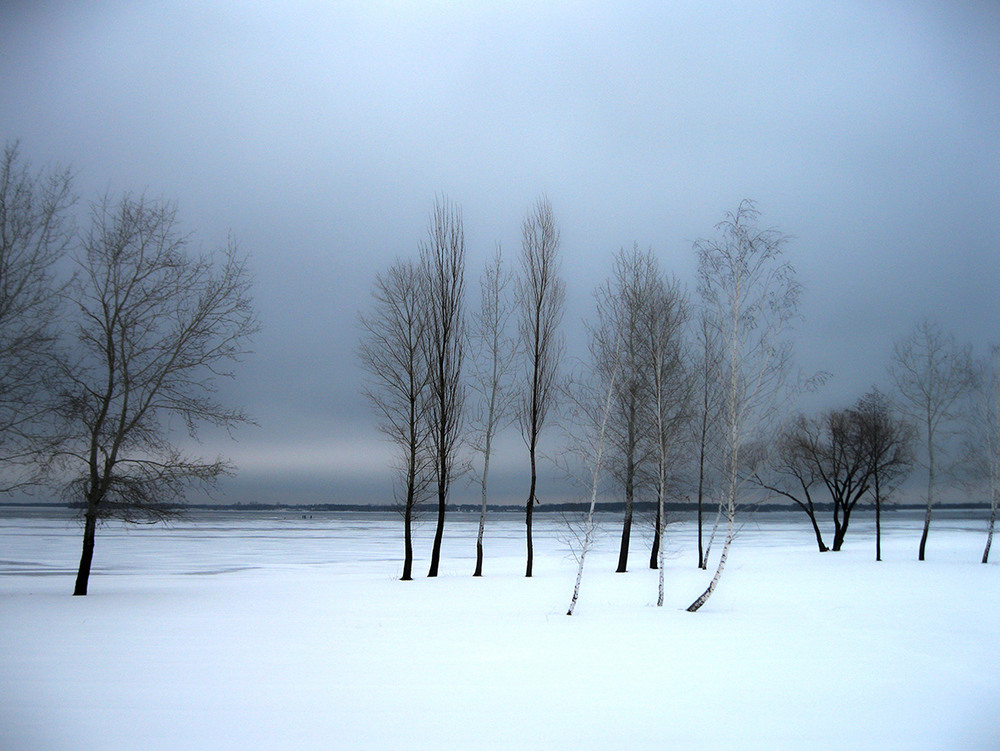 Фотографія Зимний пейзаж. / Alexander Bogomazov / photographers.ua