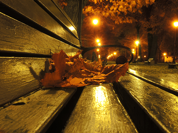 Фотографія Текстура города: осень в городе / Геннадій Втюрін / photographers.ua