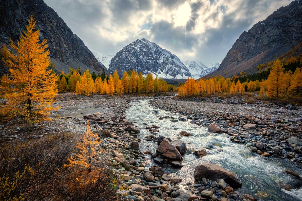 Фотографія Долина реки Актру / Геннадій Корж / photographers.ua