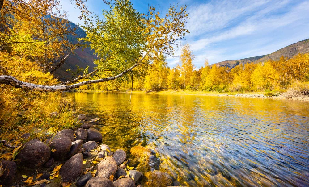 Фотографія Осень в долине реки Чулышман / Геннадій Корж / photographers.ua