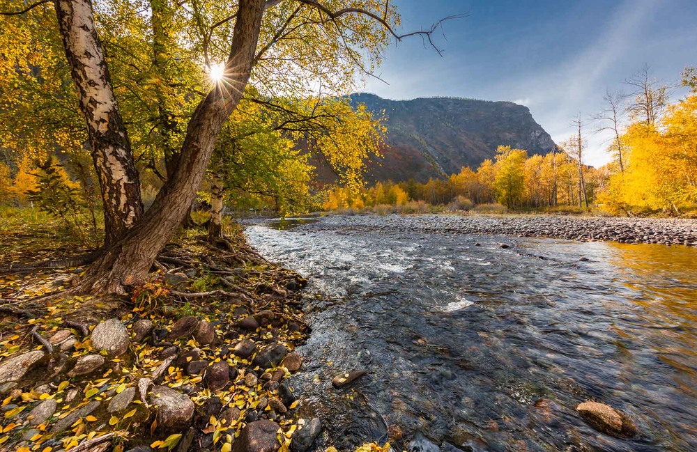Фотографія Осенние краски реки Чулышман / Геннадій Корж / photographers.ua