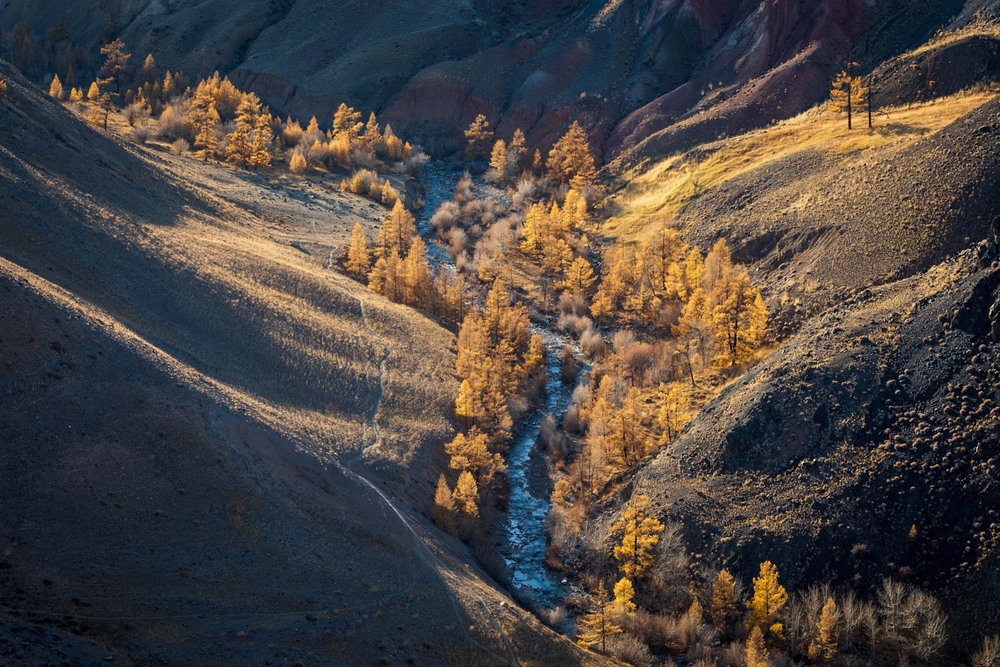 Фотографія Ущелье реки Чаганузун / Геннадий Корж / photographers.ua