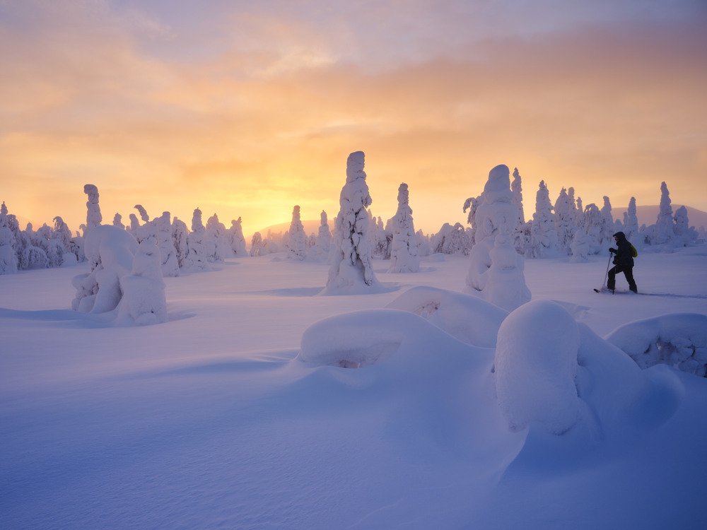 Фотографія Снежный мир ГУХ / Геннадій Корж / photographers.ua