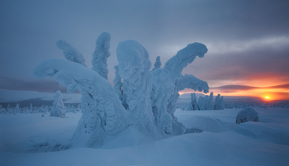 Фотографія Снежный мир ГУХ / Геннадій Корж / photographers.ua
