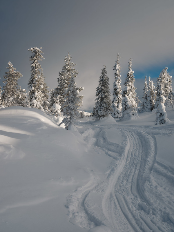 Фотографія Полярная зима / Геннадій Корж / photographers.ua