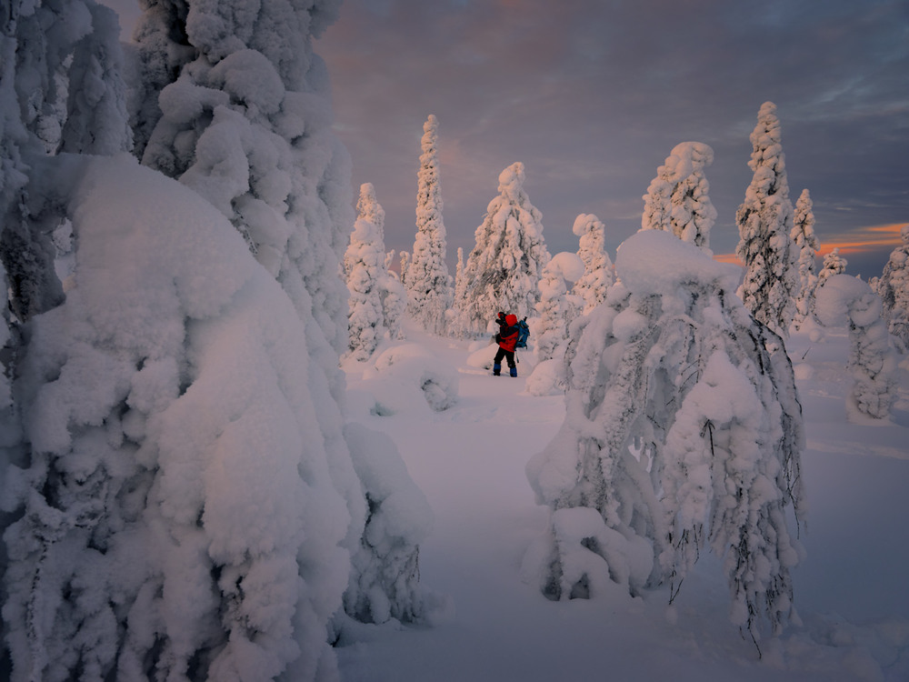 Фотографія С началом Зимы!!! / Геннадій Корж / photographers.ua