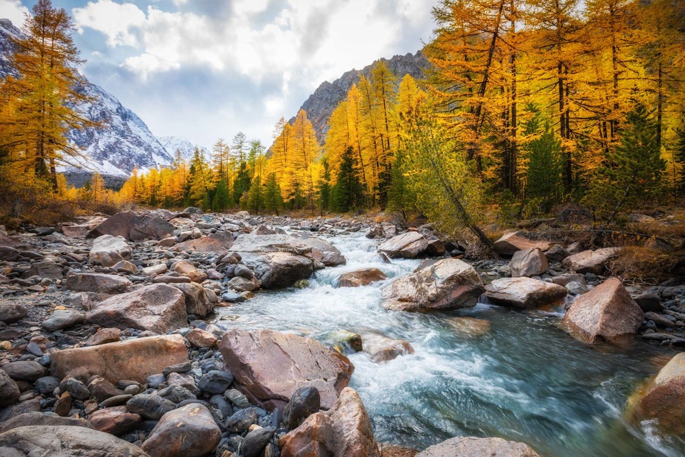 Фотографія Осень в долине реки Актру / Геннадій Корж / photographers.ua