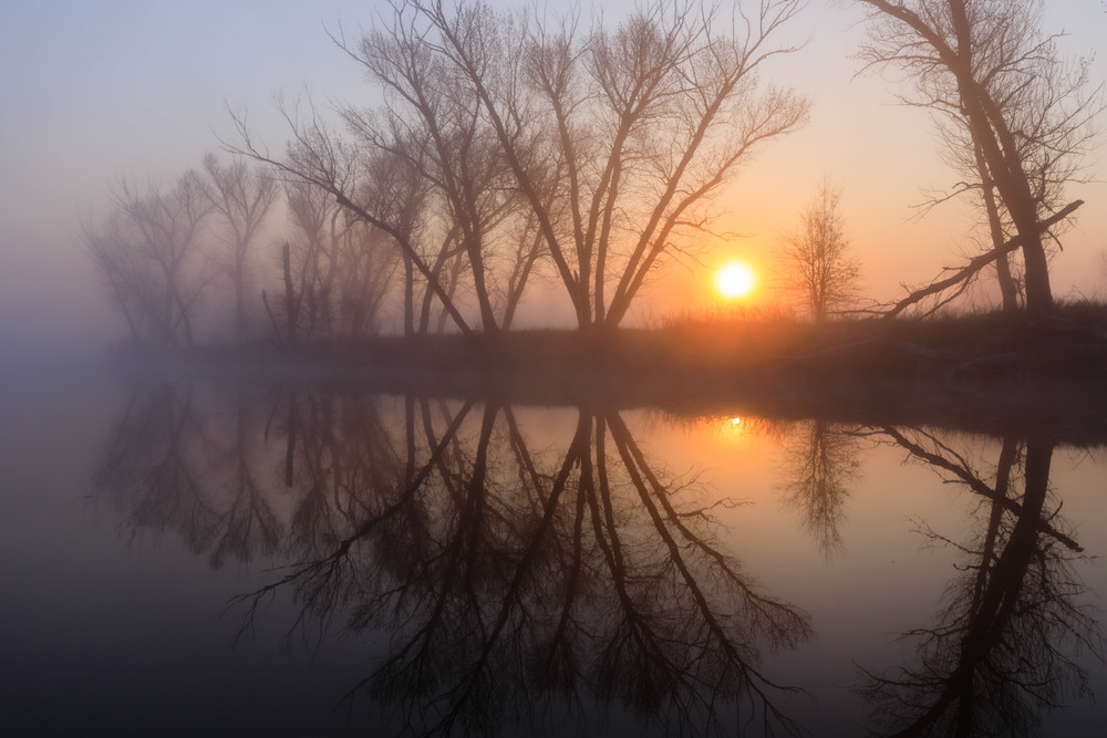 Фотографія Геометрия туманного рассвета / Геннадий Корж / photographers.ua