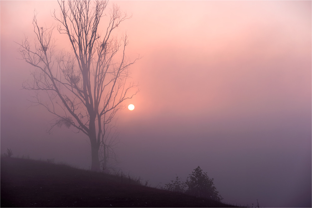 Фотографія Схід сонця... / Григорій Хорхолюк / photographers.ua