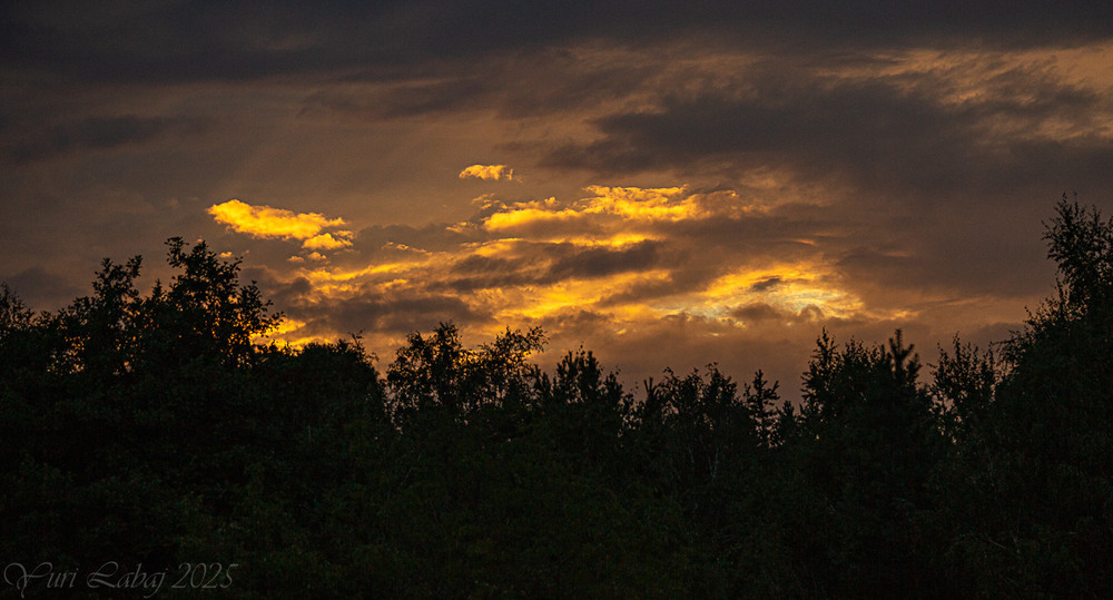 Фотографія Розлилося золото по хмаркам / Юрій Лабай / photographers.ua