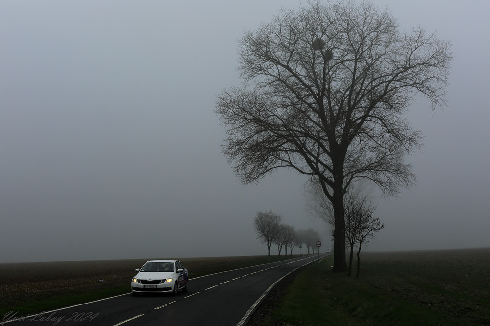 Фотографія По дорозі, скрізь туман / Юрий Лабай / photographers.ua