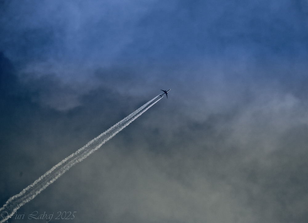 Фотографія Нас кличє синь неба...2 / Юрій Лабай / photographers.ua