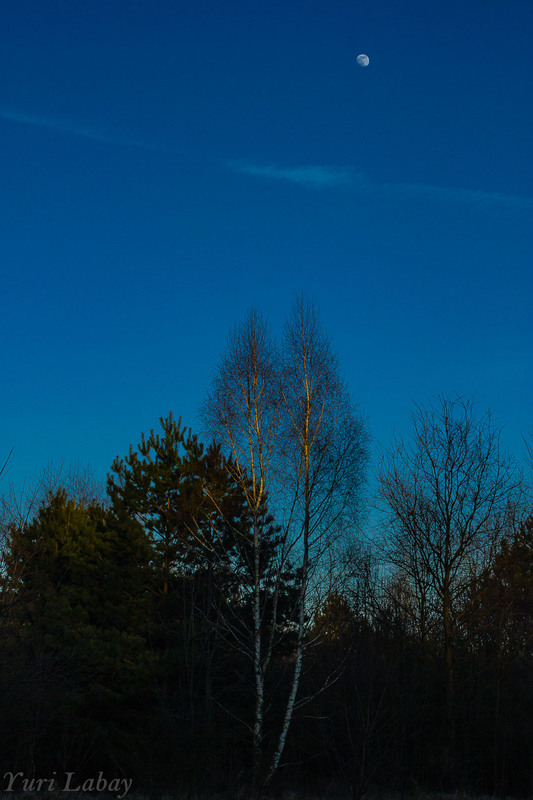 Фотографія Місяць сходить, сонечко сідає / Юрий Лабай / photographers.ua